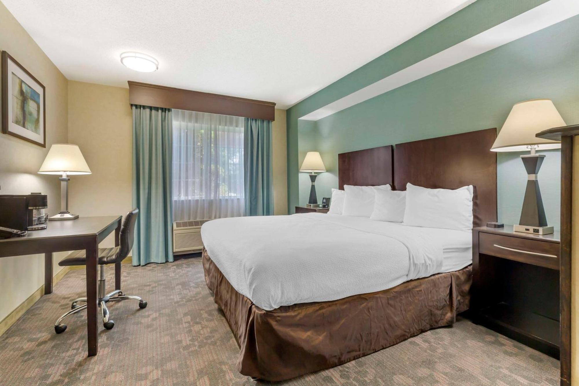 Best Western Plus Berkshire Hills Inn & Suites Pittsfield Extérieur photo